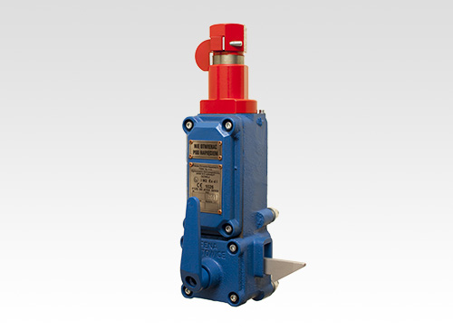 SHAFT GATE LOCKS.jpg